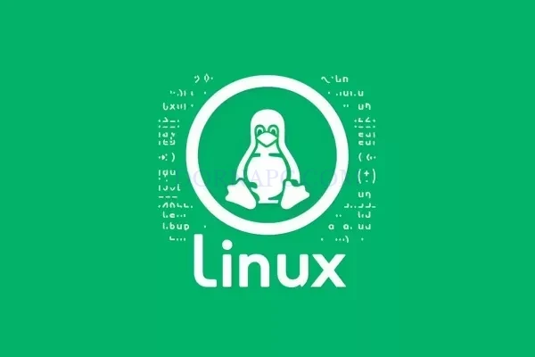 لینوکس چیست؟ معرفی انواع توزیع لینوکس + بهترین Linux برای هر سیستم