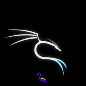 کالی لینوکس چیست؟ راهنمای کامل Kali Linux برای تست نفوذ و امنیت شبکه
