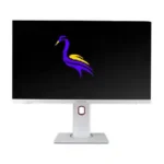 1739593525 N17S29Y12iTrpmD4 1