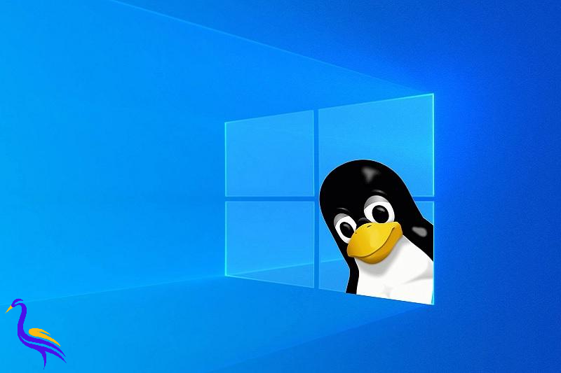 راهنمای مهاجرت به لینوکس؛ چگونه از ویندوز به Linux برویم؟