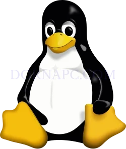 لینوکس چیست؟ معرفی انواع توزیع لینوکس + بهترین Linux برای هر سیستم